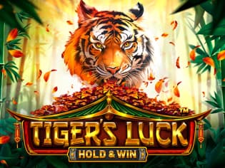 Tiger's Luck - Hold & Win